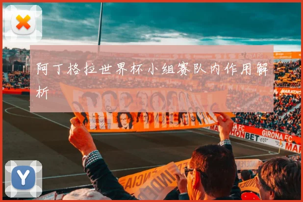 阿丁格拉世界杯小组赛队内作用解析