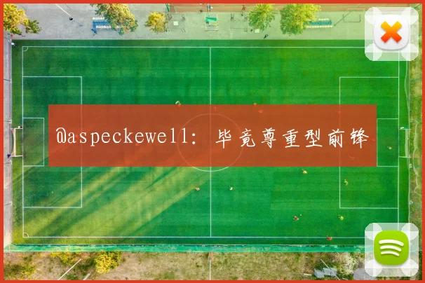 @aspeckewell：毕竟尊重型前锋