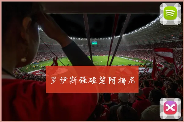 罗伊斯强碰楚阿梅尼