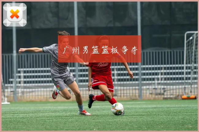 广州男篮篮板争夺