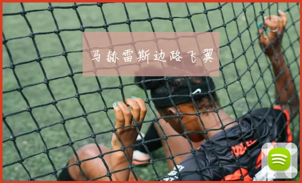马赫雷斯边路飞翼