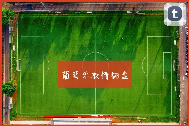 葡萄牙激情翻盘