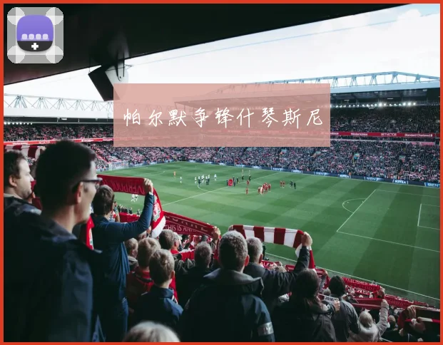帕尔默争锋什琴斯尼
