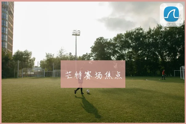 芒特赛场焦点