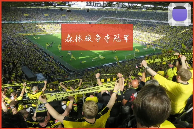 森林狼争夺冠军