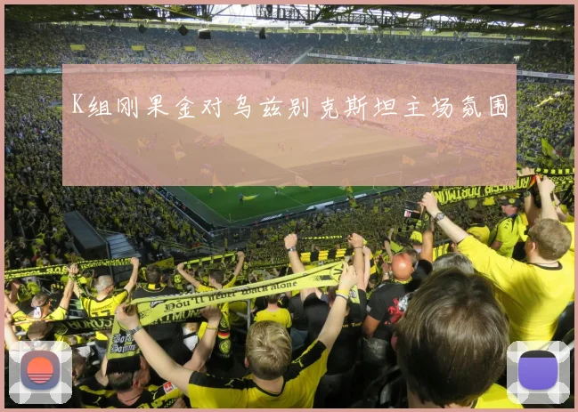 K组刚果金对乌兹别克斯坦主场氛围