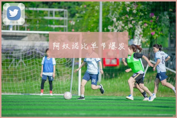 阿奴诺比单节爆发