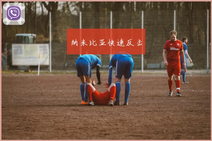 纳米比亚快速反击