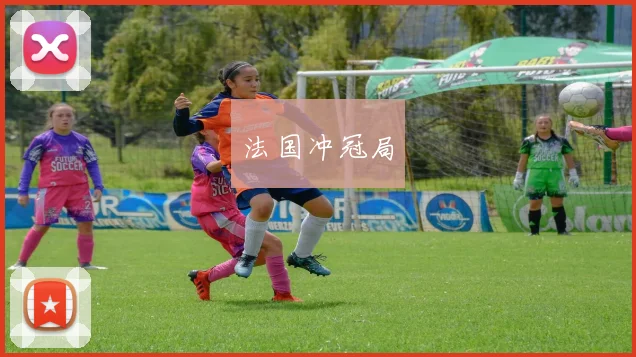 法国冲冠局