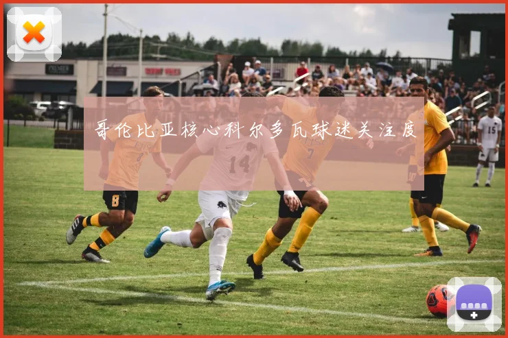 哥伦比亚核心科尔多瓦球迷关注度