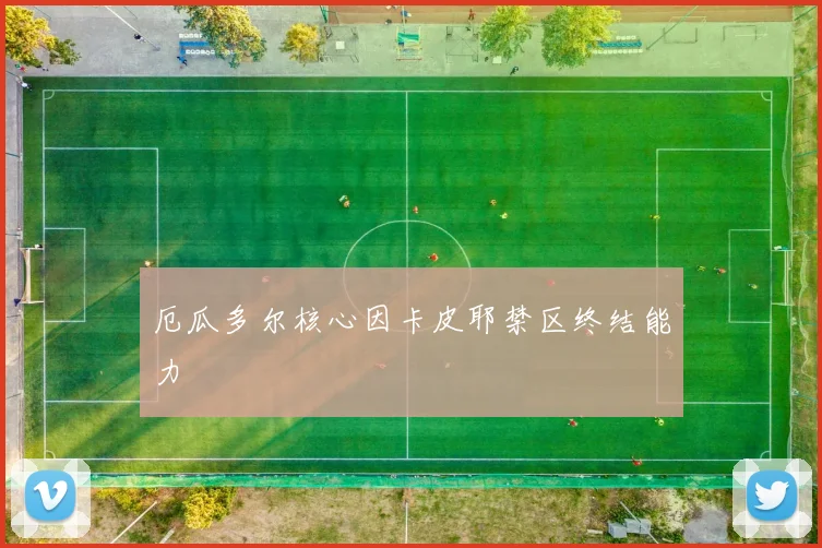 厄瓜多尔核心因卡皮耶禁区终结能力