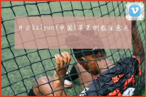 开云kaiyun(中国)苹果侧载注意点