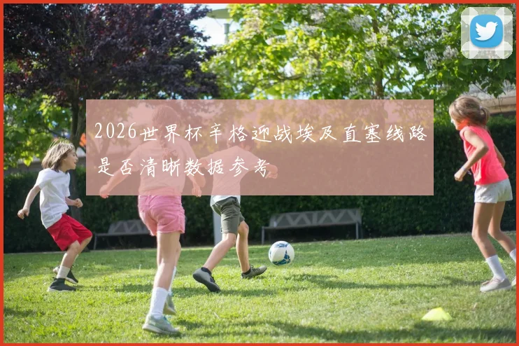 2026世界杯辛格迎战埃及直塞线路是否清晰数据参考