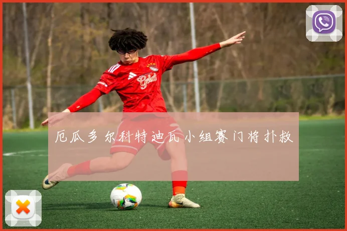 厄瓜多尔科特迪瓦小组赛门将扑救