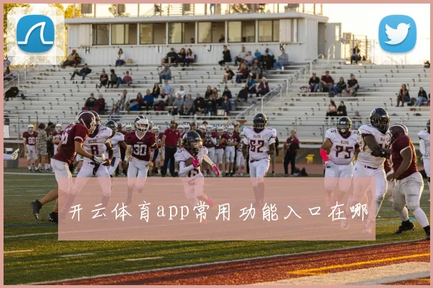 开云体育app常用功能入口在哪