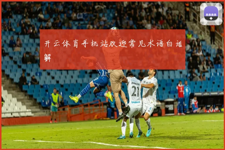 开云体育手机站欢迎常见术语白话解