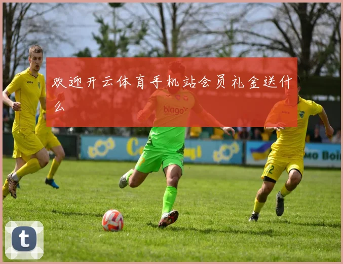 欢迎开云体育手机站会员礼金送什么